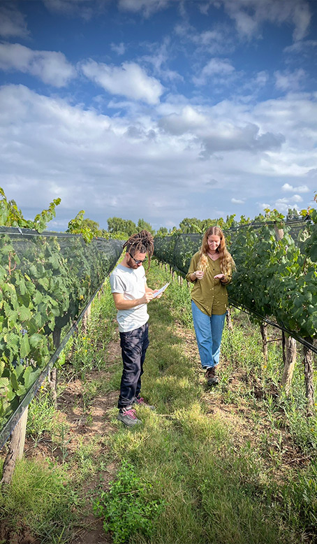 Lulu y Leo en viñedos